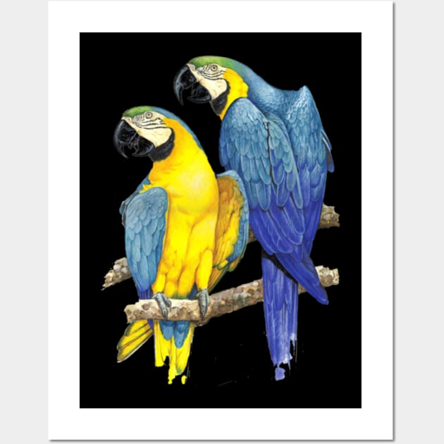 Brazilian Parrot Wall Art by BambooBox